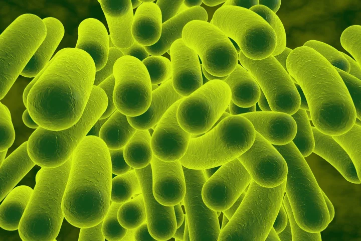 Researchers have found a way to counter the evolutionary catalyst that lets bacteria become resistant to antibiotics
