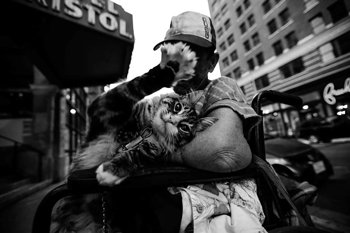 Honorable Mention - Perfect Binding. A women and her cat wonder through the streets of Los Angeles