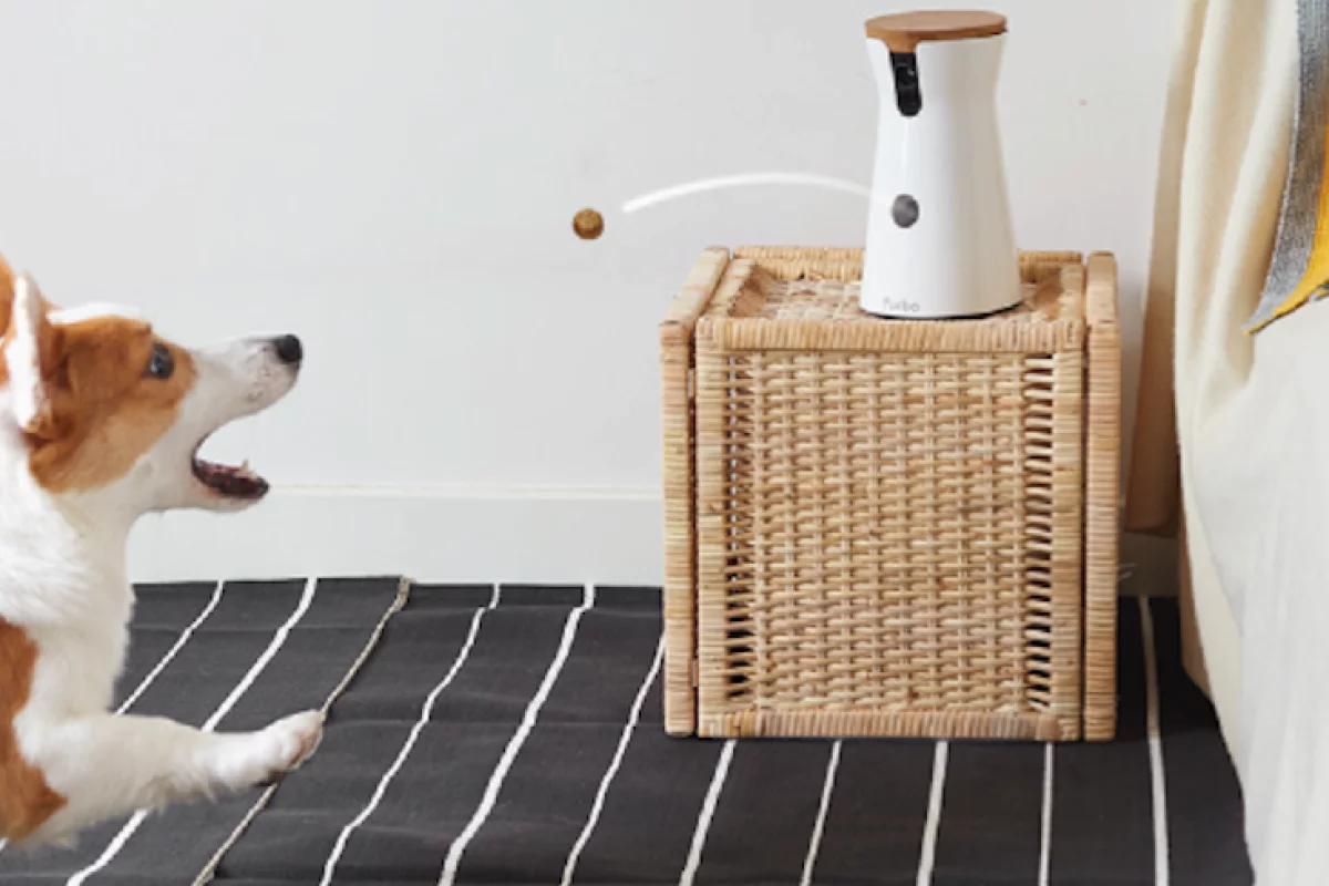 Furbo lets you feed and talk to your dog remotely