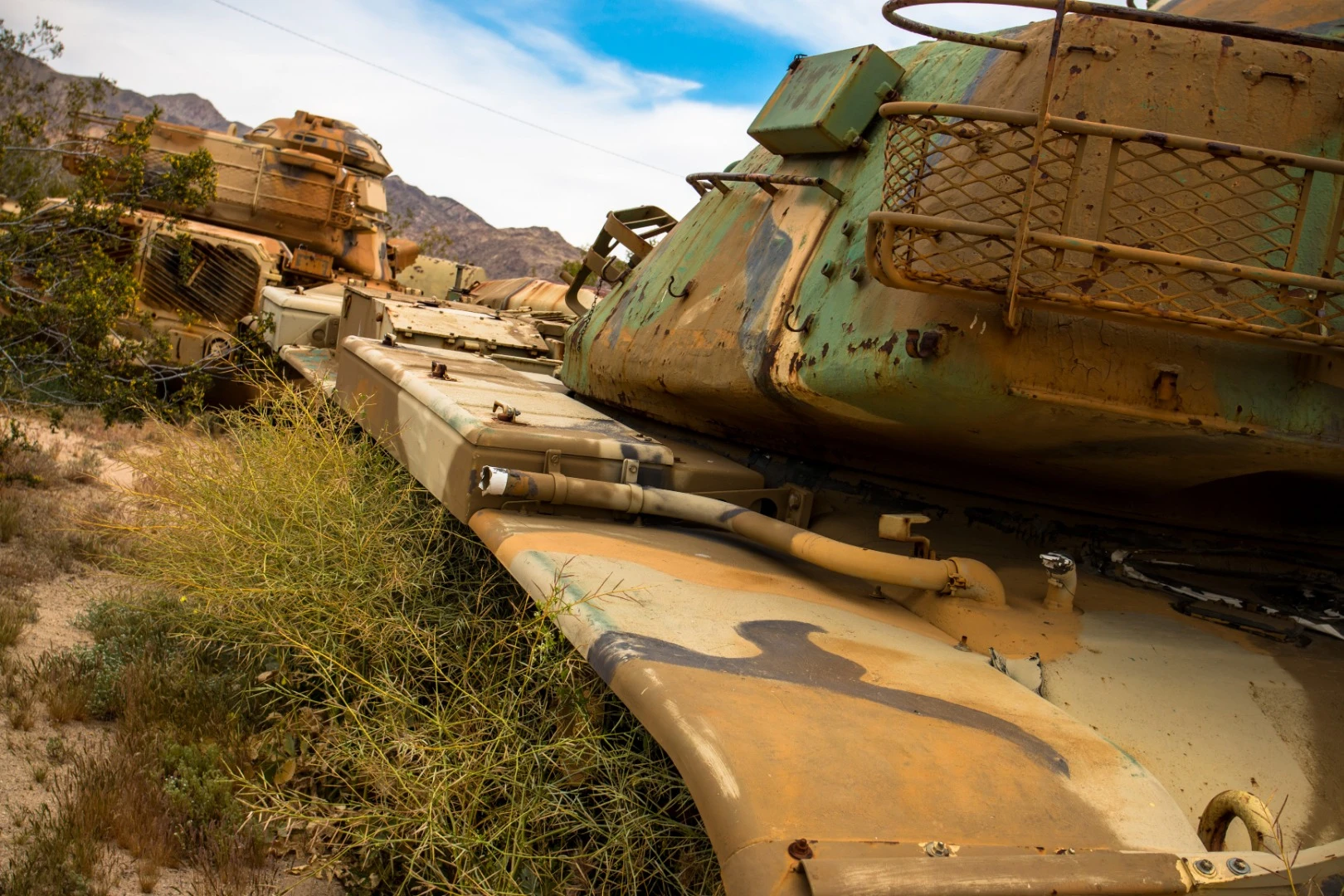 Something like a movie set, this unidentified tank appears to have been reclaimed by nature after years of wartime service