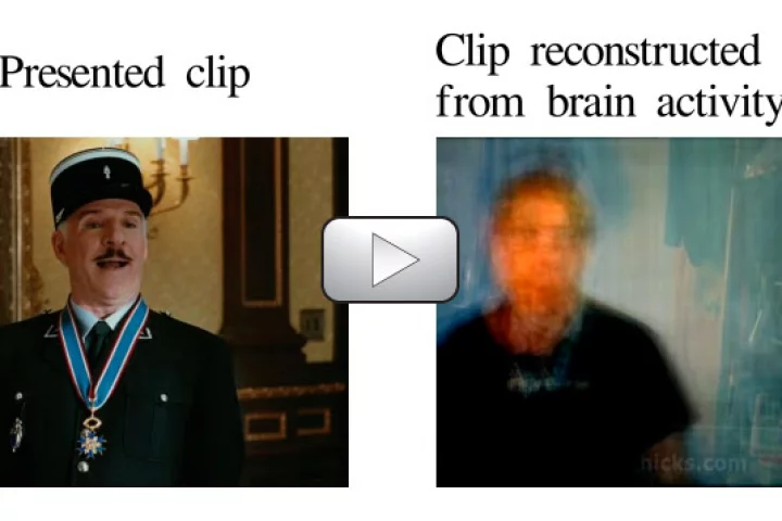 Scientists have created a system that is able to visually reconstruct images that people have seen, by reading their brain activity
