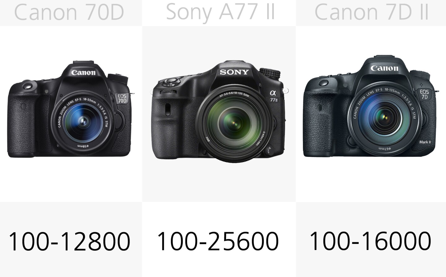 Despite its recommended ISO range, the Canon 7D M2 can be expanded to ISO 51,200