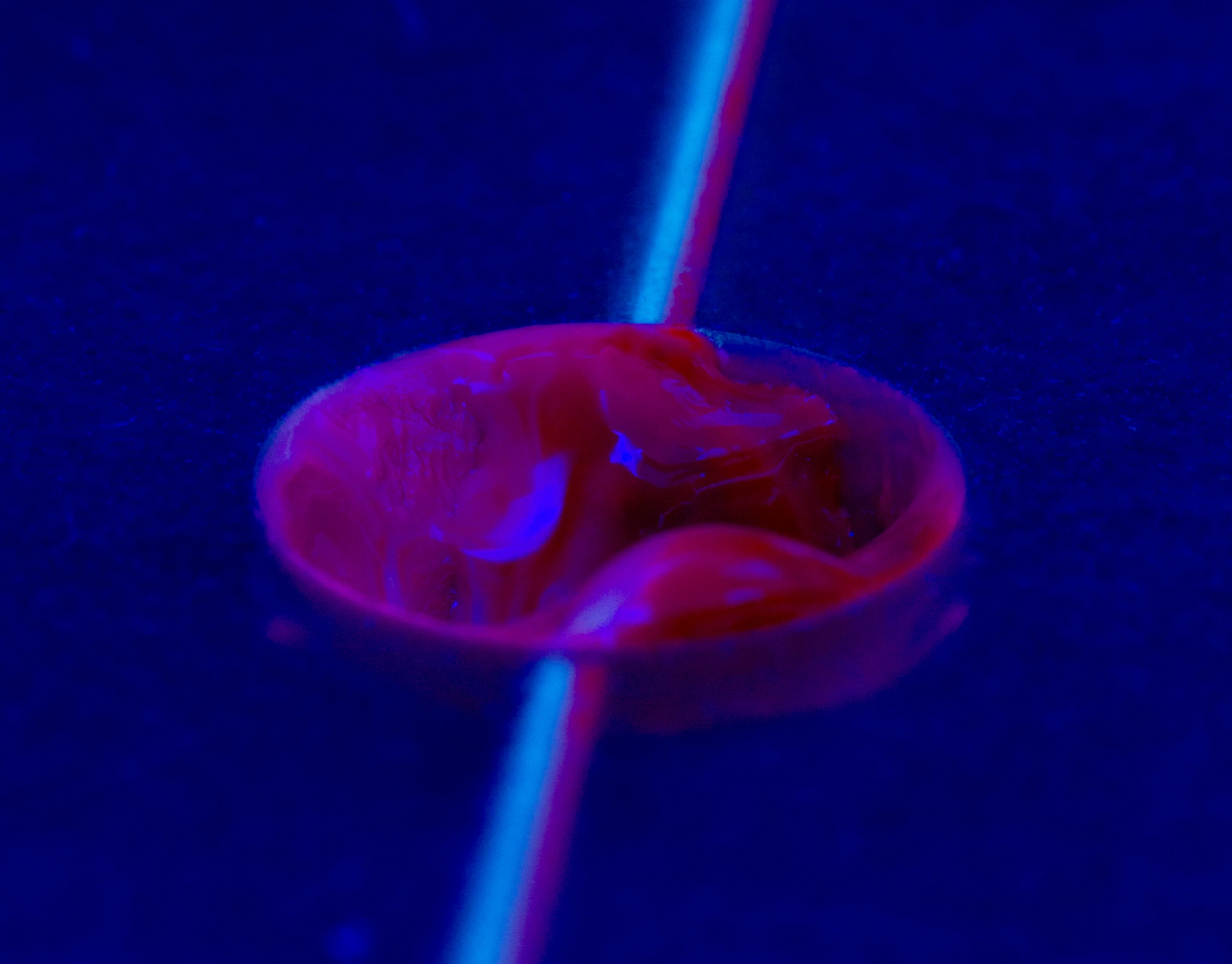 Regenerative gel squirting into a cavity