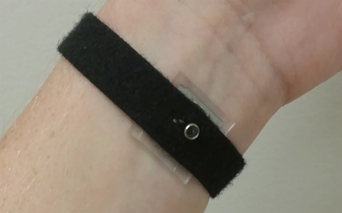 The sensors consist of a single layer of nanowires embedded in a stretchable polymer (Photo: Yong Zhu)