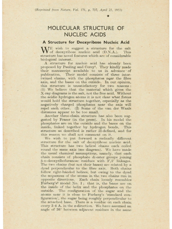 Molecular Structure of Nucleic Acids by James Watson and Francis Crick (April 25, 1953) | Auction Description | Estimate: $7,596 to $10,128 | Auction Date: July 9, 2019