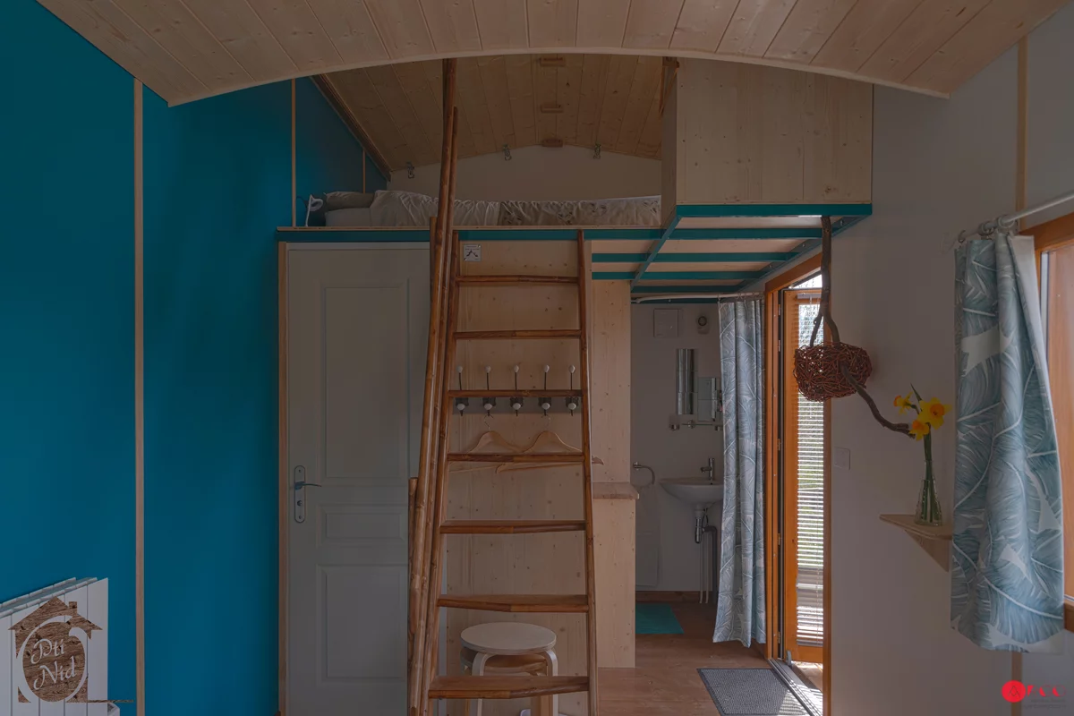 A ladder leads up to the bedroom in the Head in the Stars Professional