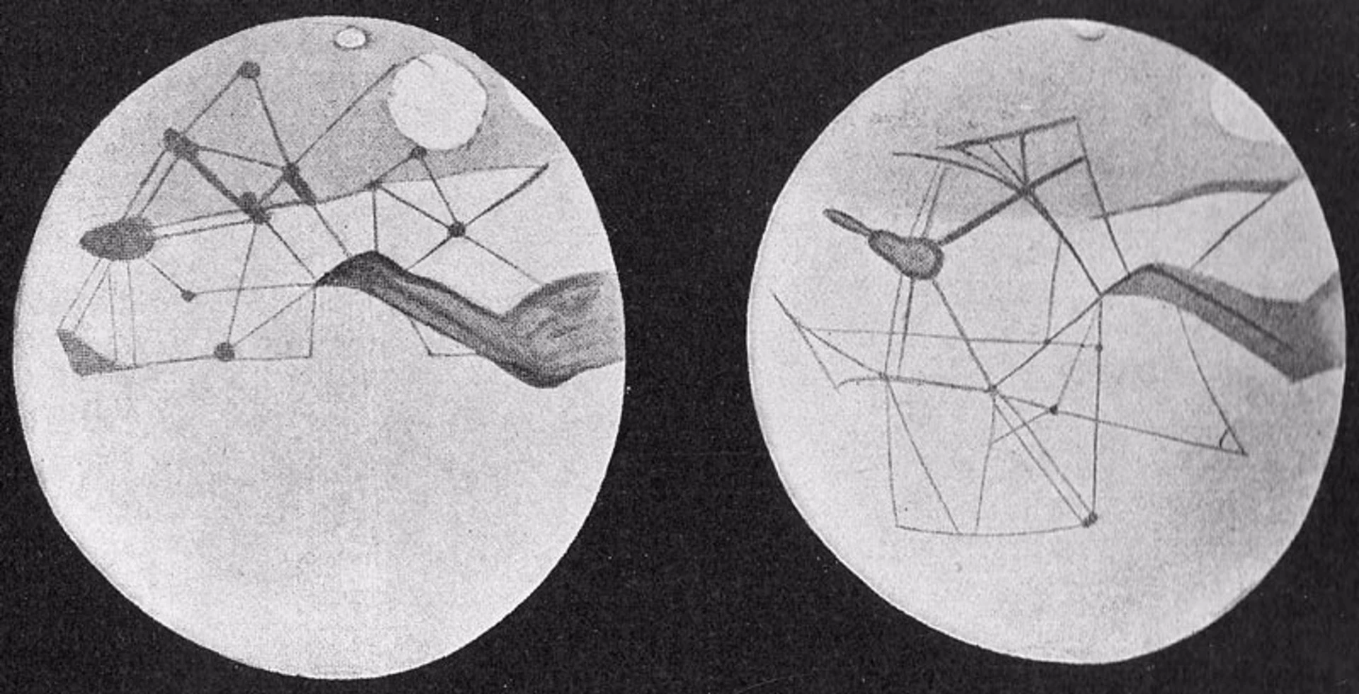 The supposed canals of Mars as seen by Percival Lowell