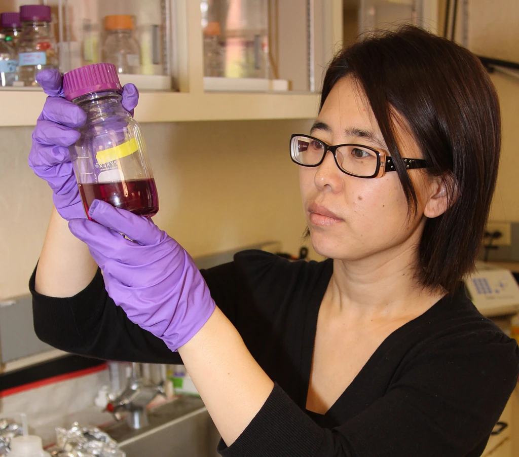 Hong Liu, an engineer at Oregon State University, has developed greatly improved new methods to produce electricity from the processing of wastewater (Photo: Oregon State University)