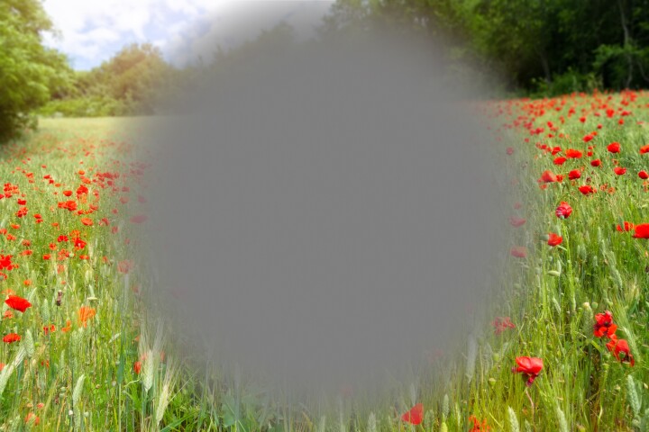 Researchers have used nanotechnology to successfully grow retinal cells