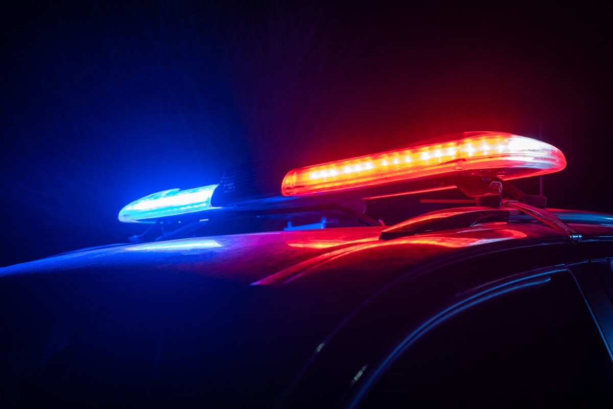AI legal agent designed to guide police during domestic violence calls