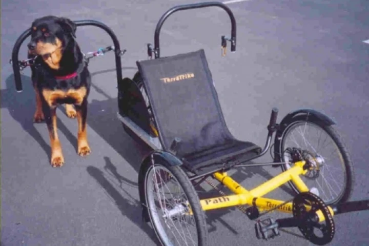 Dog-powered recumbent trike