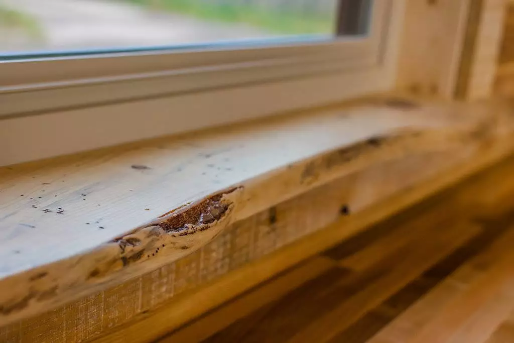 Davis's 22 ft Off-Grid Tiny Home features live edge window sills