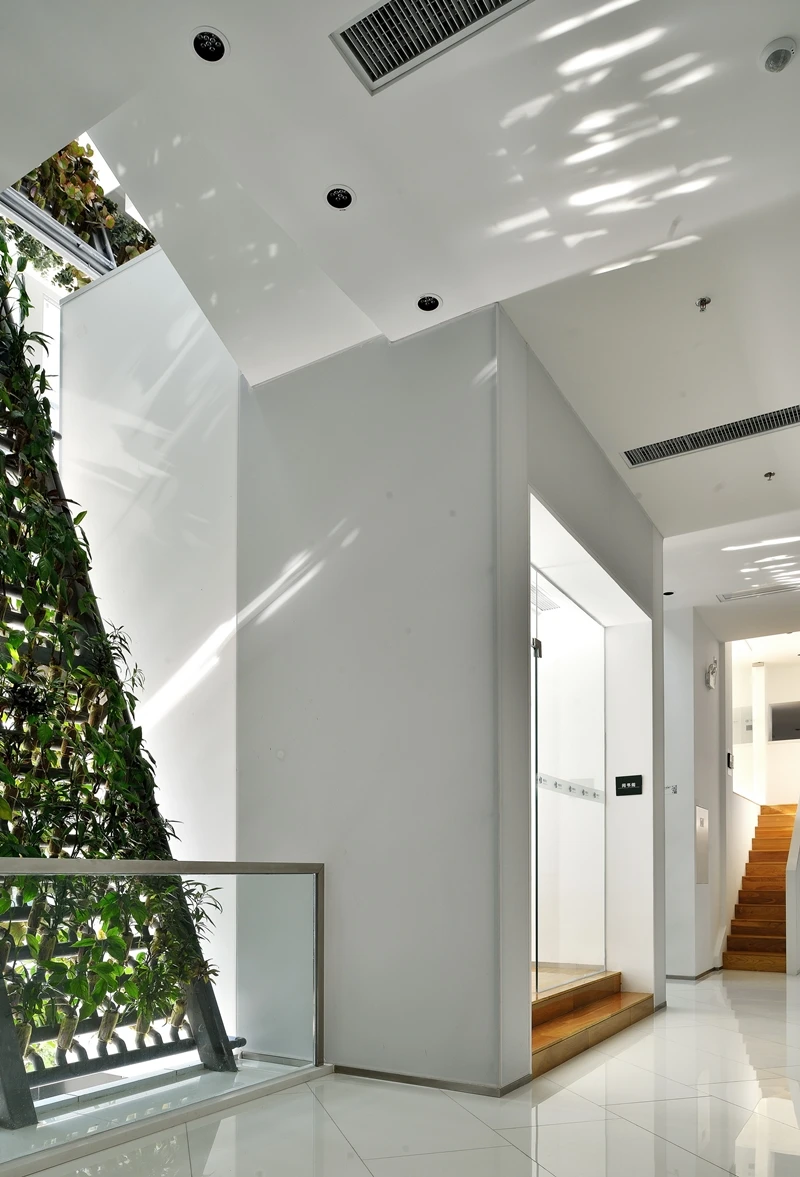 The planting can be used to soften building spaces