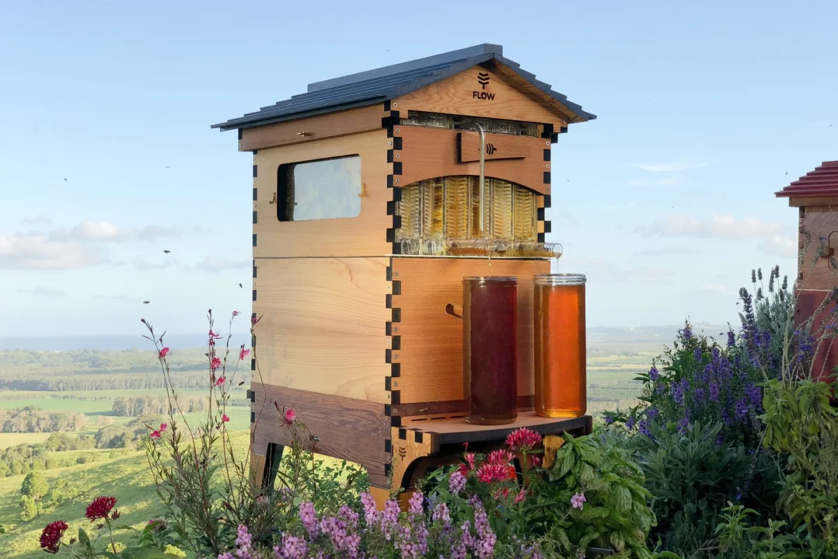 Honey on tap just got even easier in the new and improved Flow Hive 2