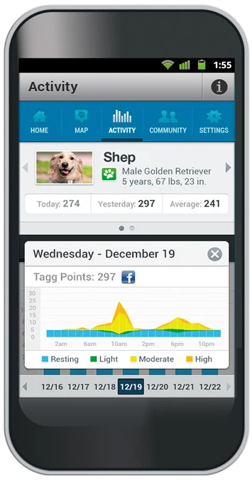Tagg activity tracking on the mobile phone app