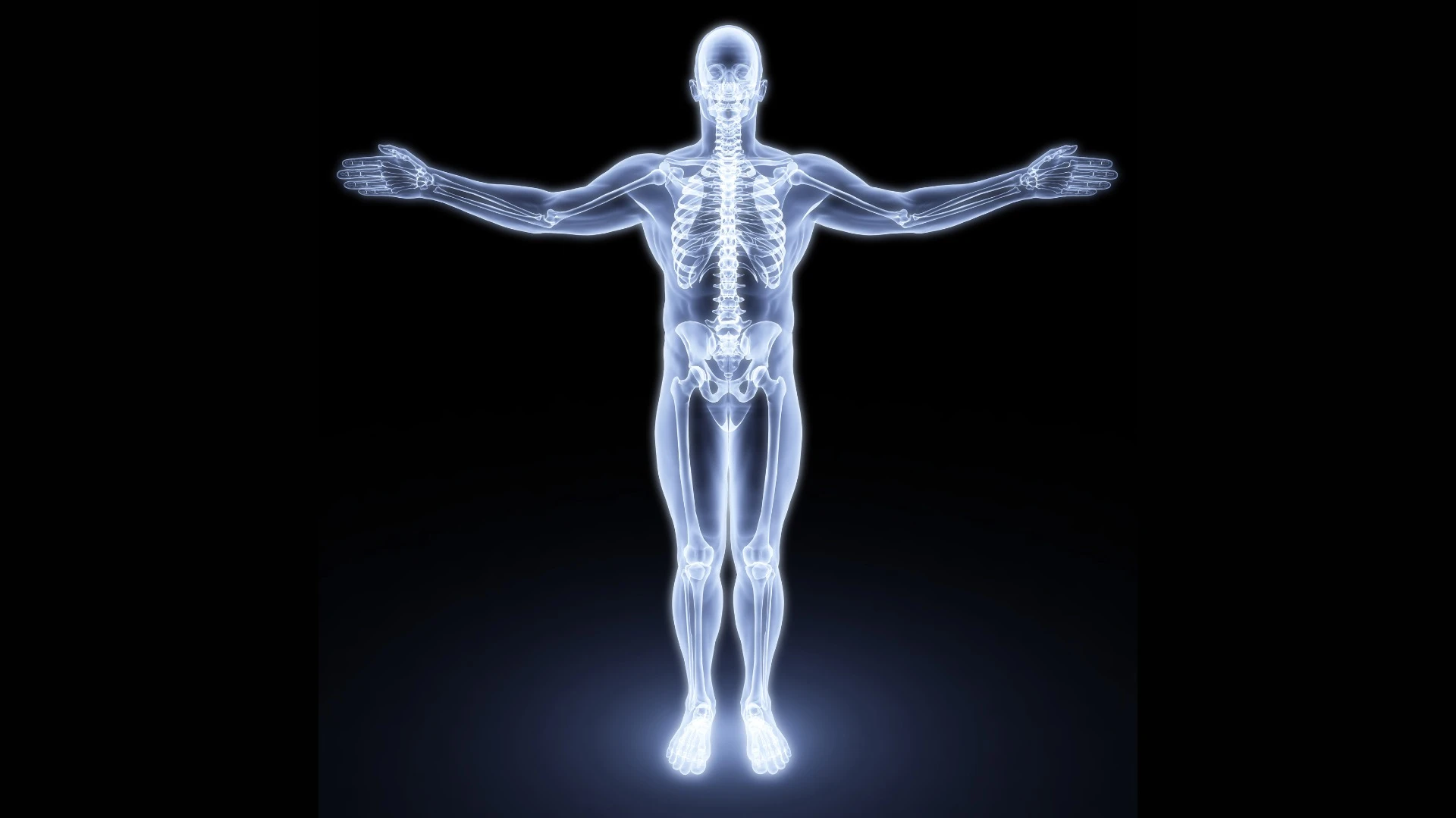 A recent discovery by researchers from the Columbia University Medical Centre revealed a previously unknown appetite-regulating mechanism that is secreted by bone cells