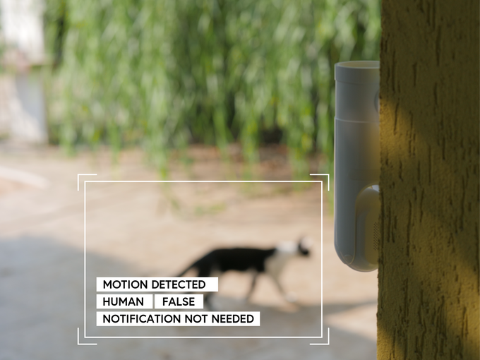 If a passing cat is detected by the Eyecloud Cam, no video will be recorded and an alert will not be sent