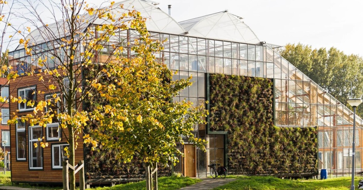Living in a greenhouse One family's experiment in sustainable living