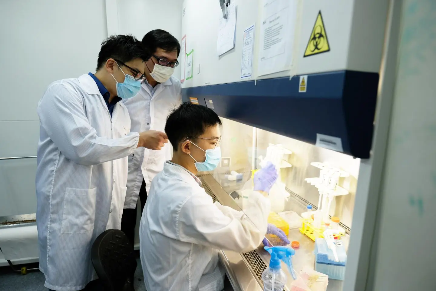 A team from Singapore’s Nanyang Technological University has developed a cancer-killing nanoparticle that doesn't contain drugs