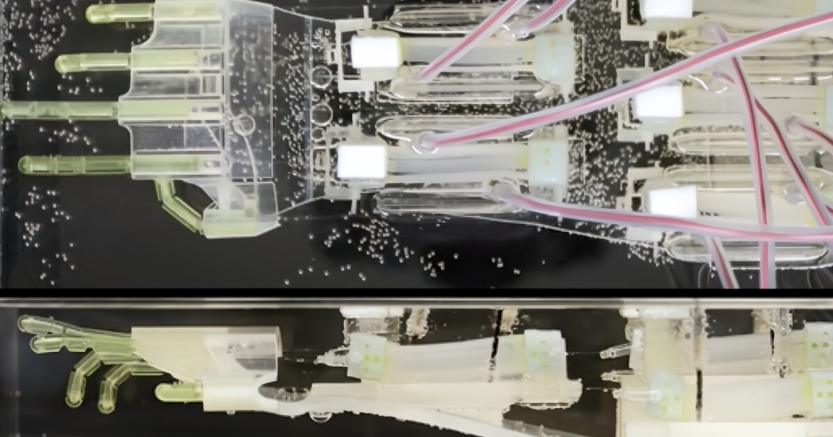Muscle tissue meets mechanics in biohybrid hand breakthrough