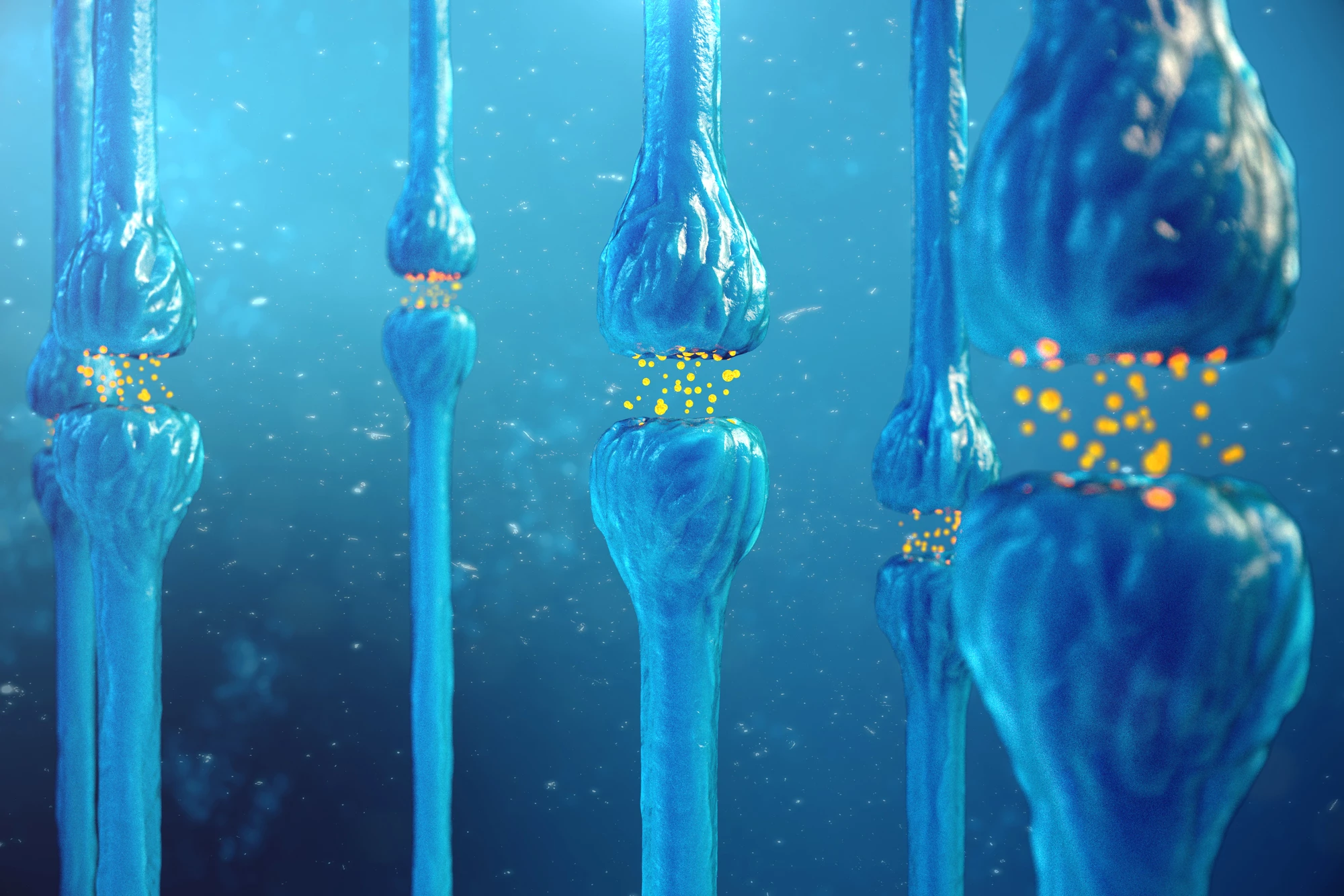 Researchers have used molecular imaging technology to confirm the role vitamin D plays in early brain cell development and the brain's production of the feel-good chemical dopamine