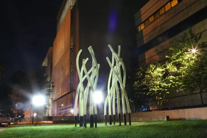 A human controller sets some basic design parameters pertaining to how they want the finished structure to look, and MIT's FIberbots do the rest
