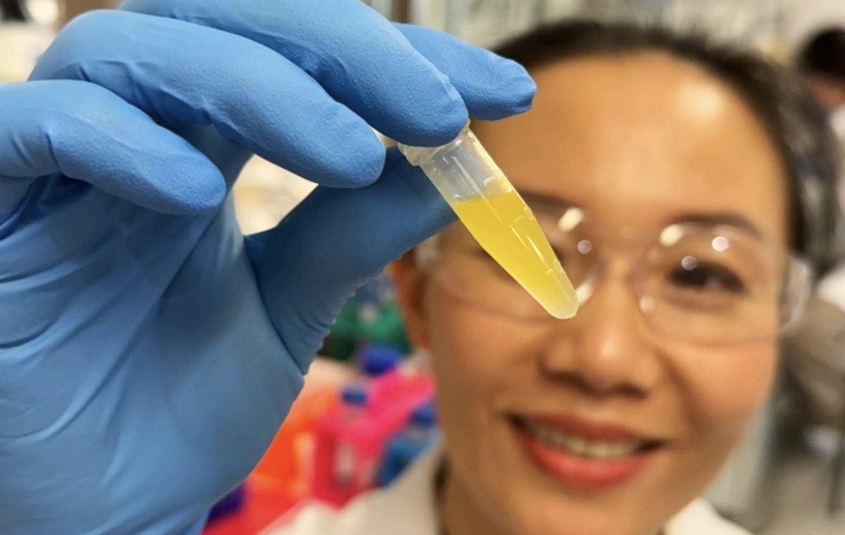 Nano-cubosome eyedrops target macular degeneration without needles