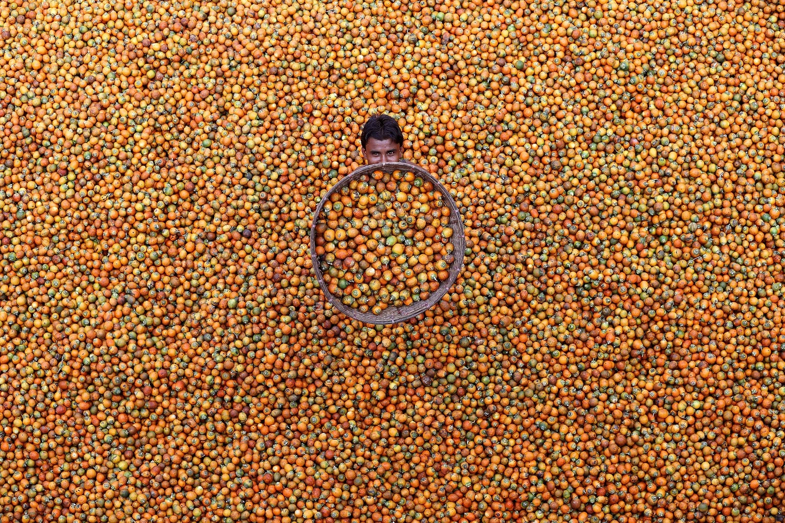 APAC Winner. M Yousuf Tushar "Betel Nut", taken Coxbazar, Bangladesh