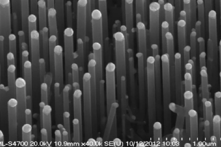 Silicon nanowires were one of the hydrophobic structures studied by the Northwestern team