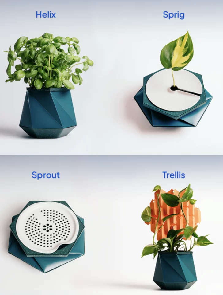 Some clever additions will help your plant grow into its "forever home"