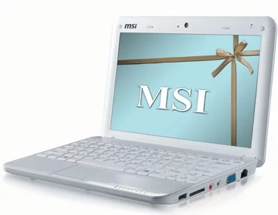 The MSI Wind U100