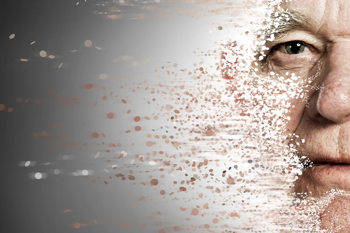 A new discovery showing the effects of senolytic drugs on a protective protein could help limit some of the effects of aging