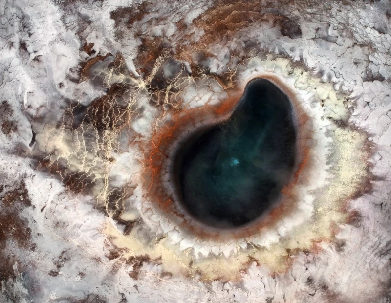 Intricate Worlds: Commended in the Nature category