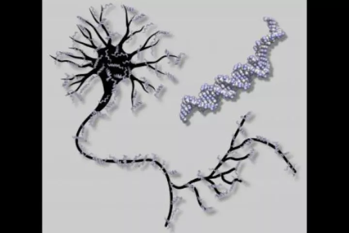 Scientists at Caltech have created the world's first DNA-based artificial neural network