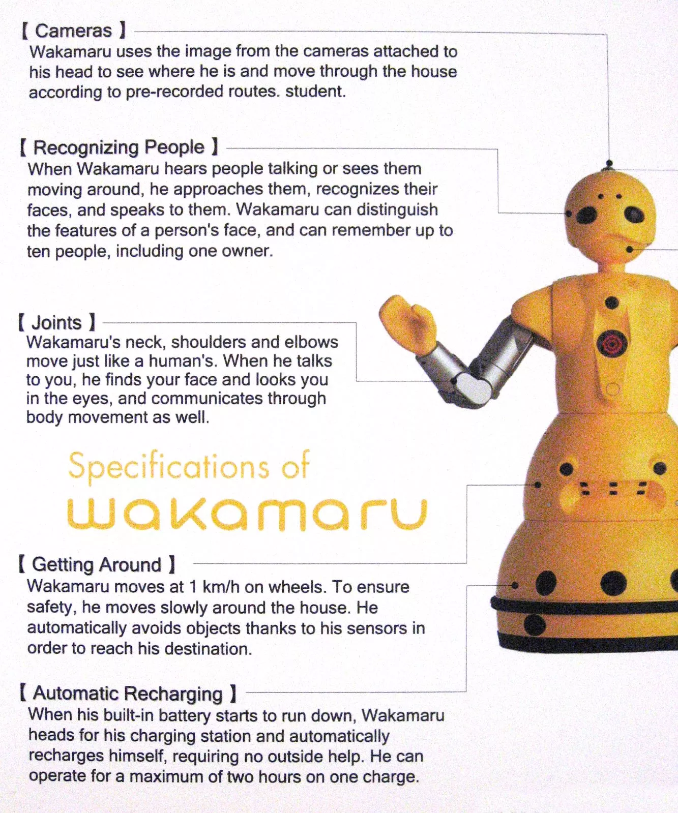 Despite Wakamaru's features, customers complained it wasn't very useful and sales plummeted