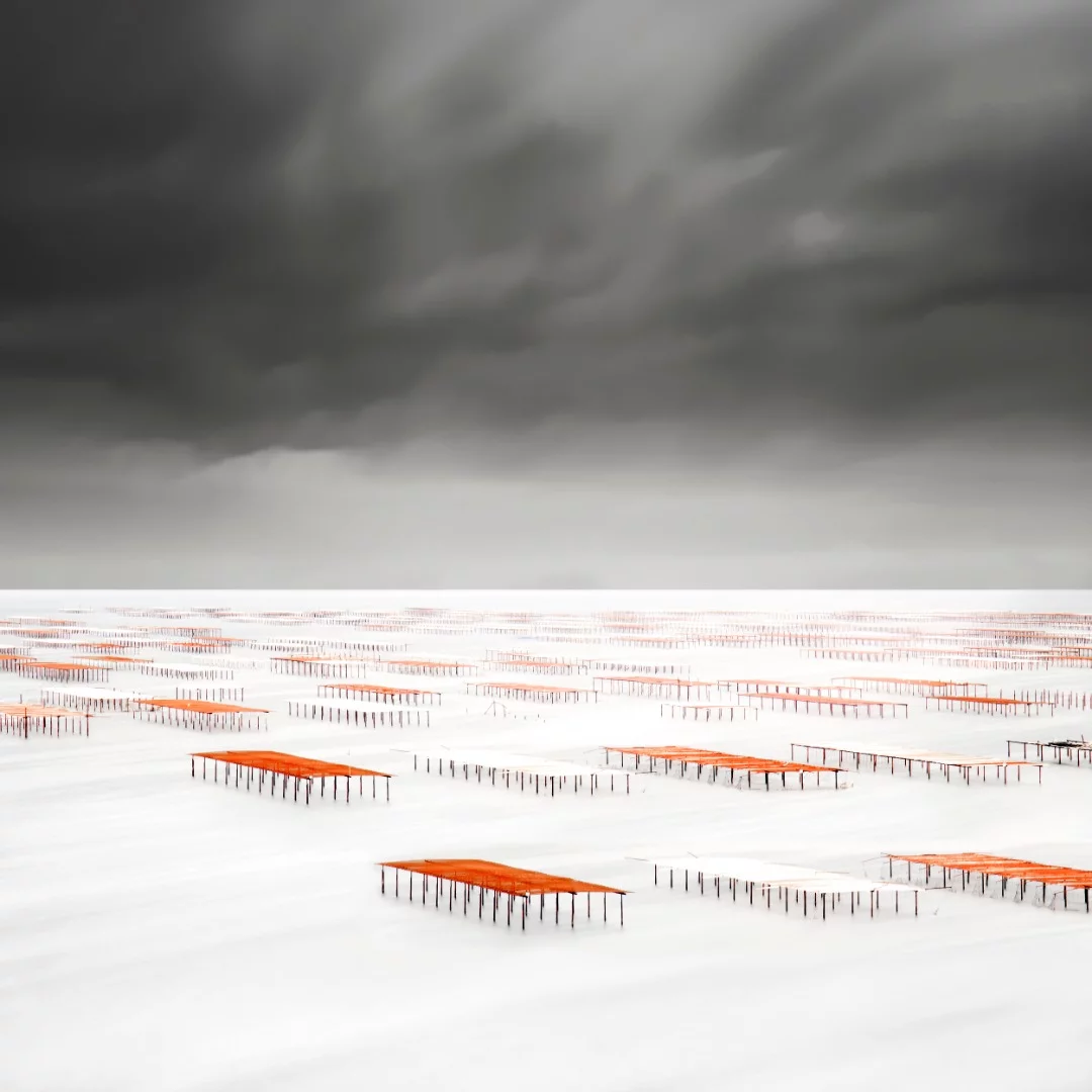 Like a checkerboard representing the oyster tables of the Thau pond, near Sète