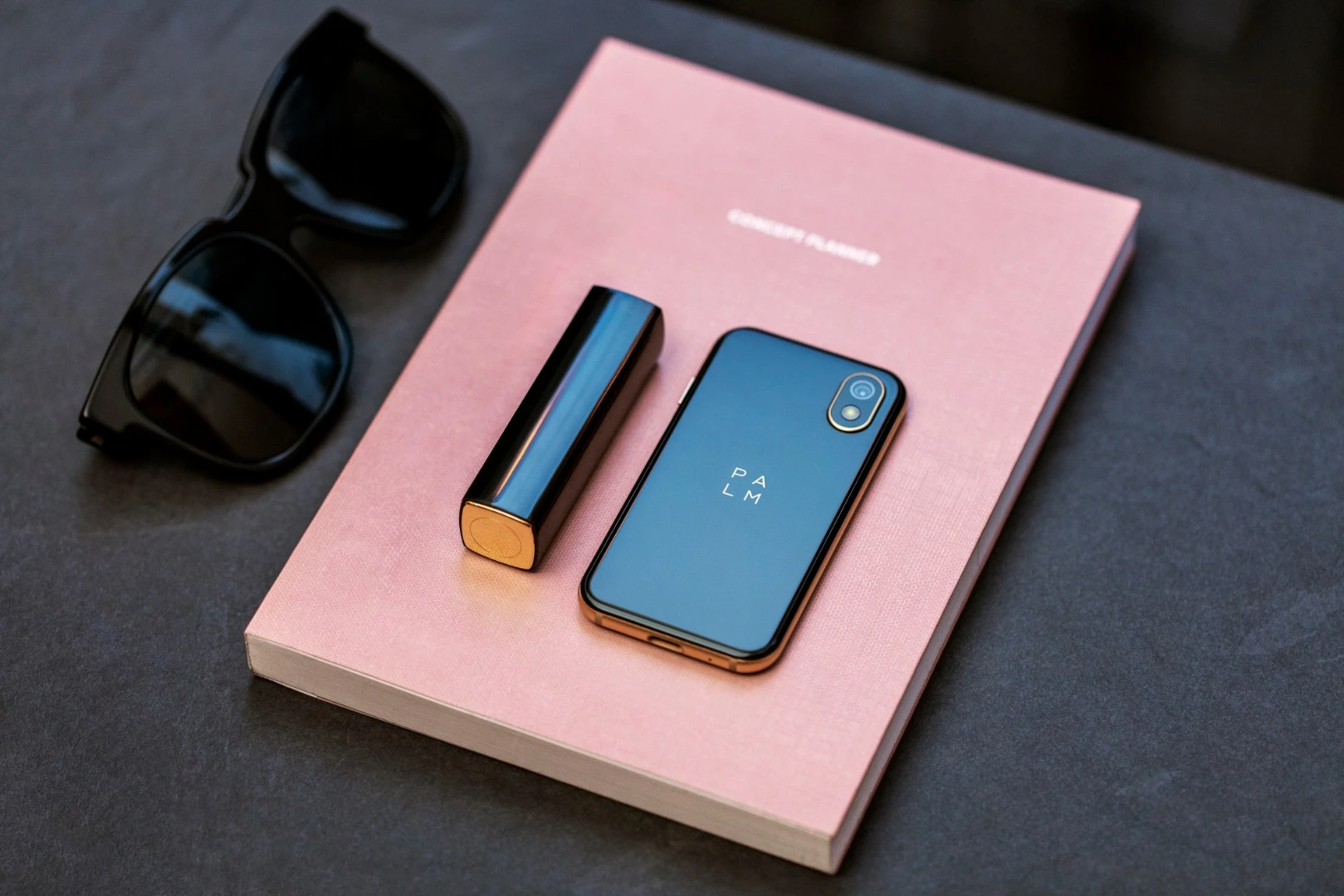 The Palm will be available in November for US$349.99
