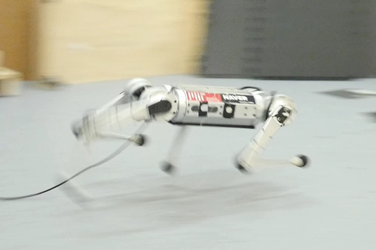 The mini cheetah running at speed