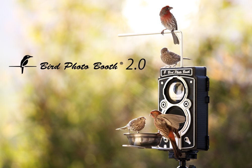 The Bird Photo Booth 2.0 includes a motion-activated camera that mounts near a bird bath or feeder, and snaps 16 MP stills and 4K video of them close up
