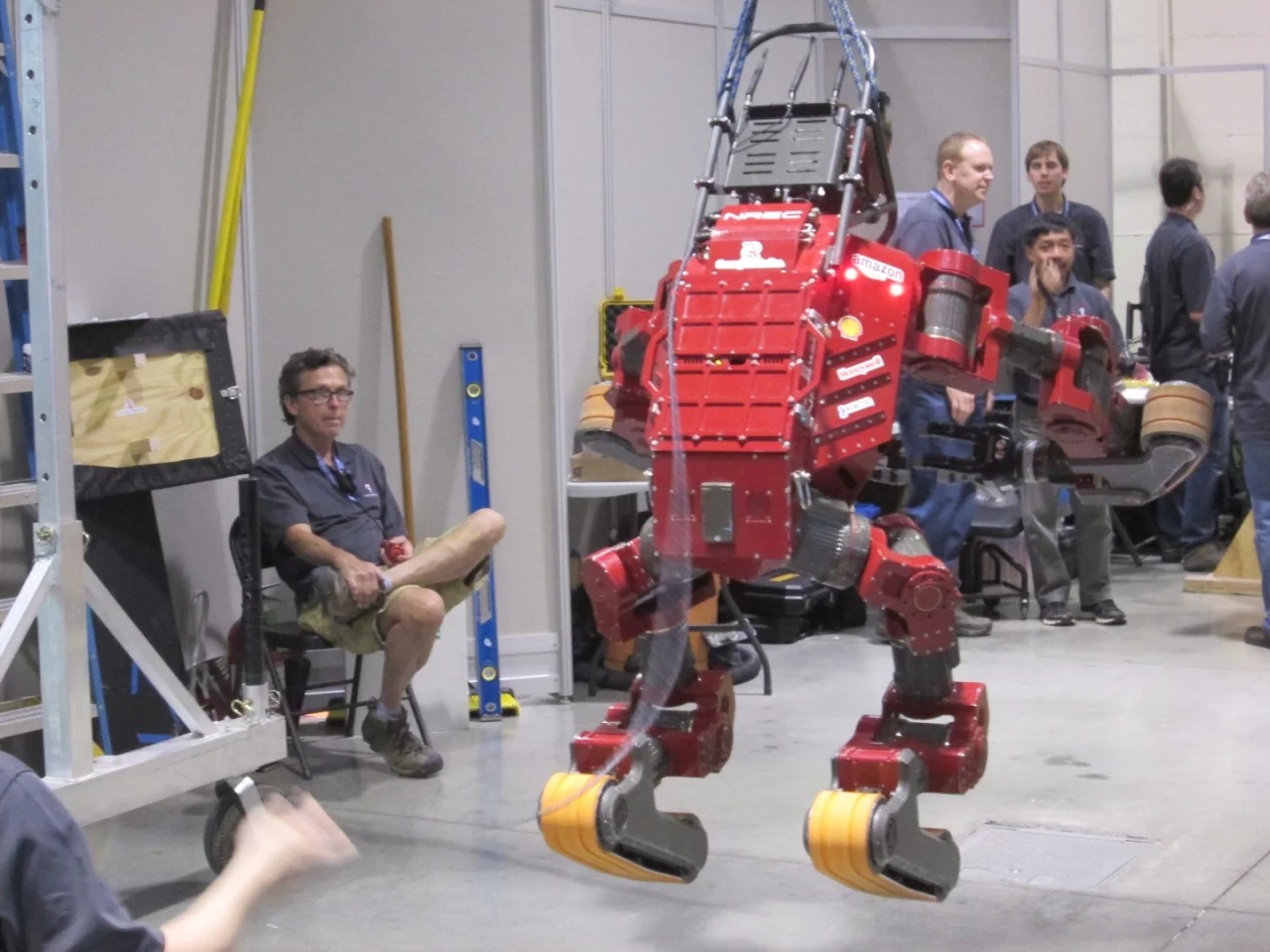 Chimp being prepared for the final day's competition