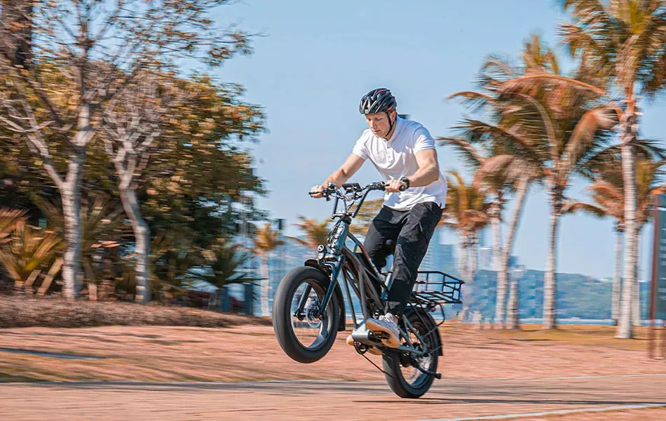 The 750-W rear-hub geared motor produces 80 Nm of torque