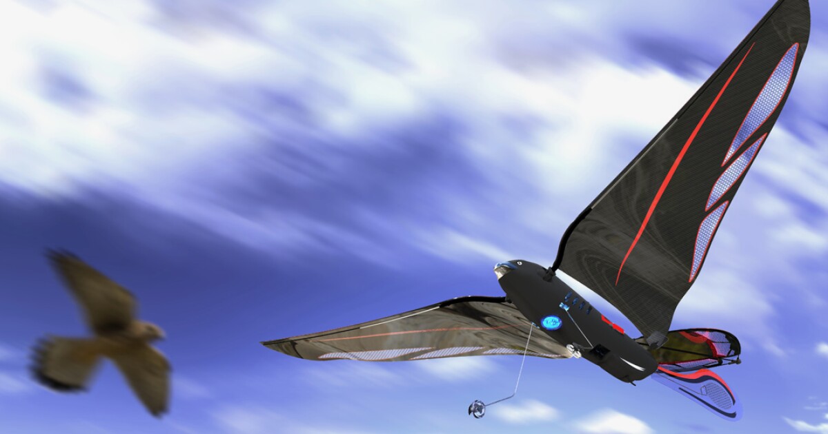 Dual-tail robo-swift flies fast outdoors, slow indoors