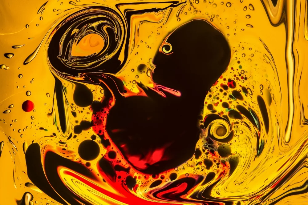 1st Place, Amateur, Abstract. Titled Inside