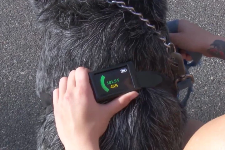 The Dawg Tag contains multiple sensors that measure the dog's body temperature at several locations