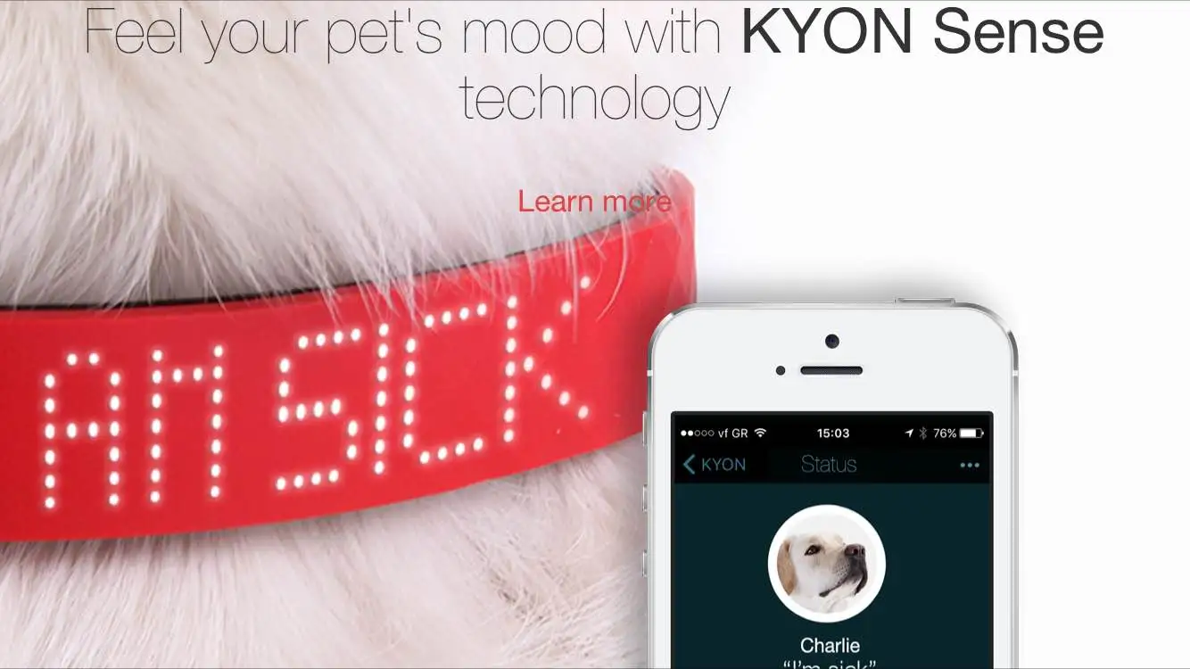 The collar works in tandem with an iPhone app - an Android version is in development