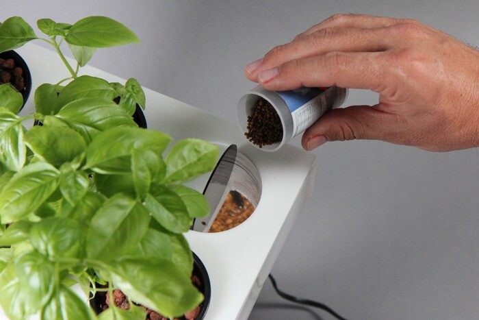 Home Aquaponics Kit Helping Kids Grow Herbs From Fish Poo