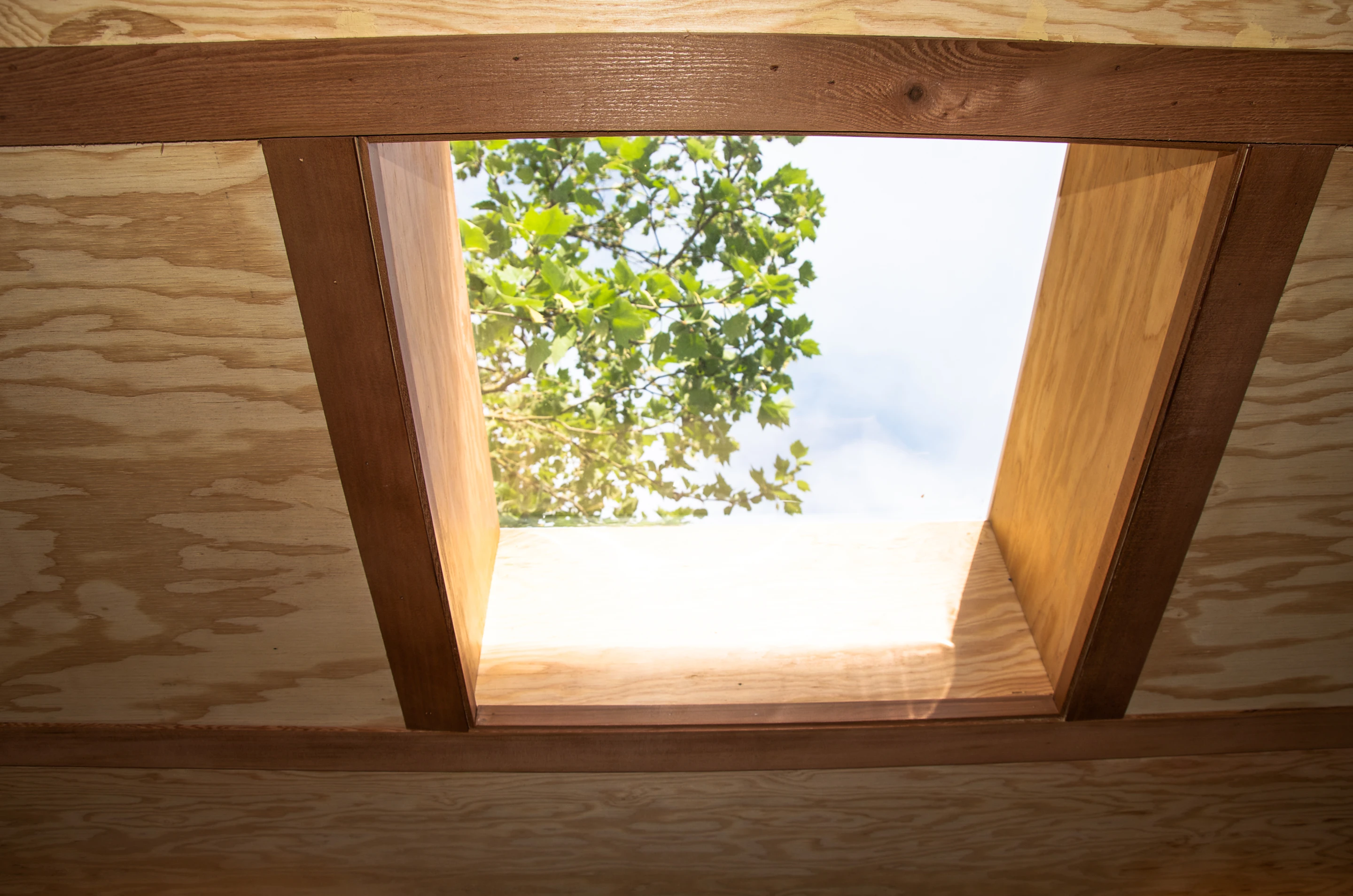 There's a skylight which lets in natural daylight (Photo: Shelter Wise)
