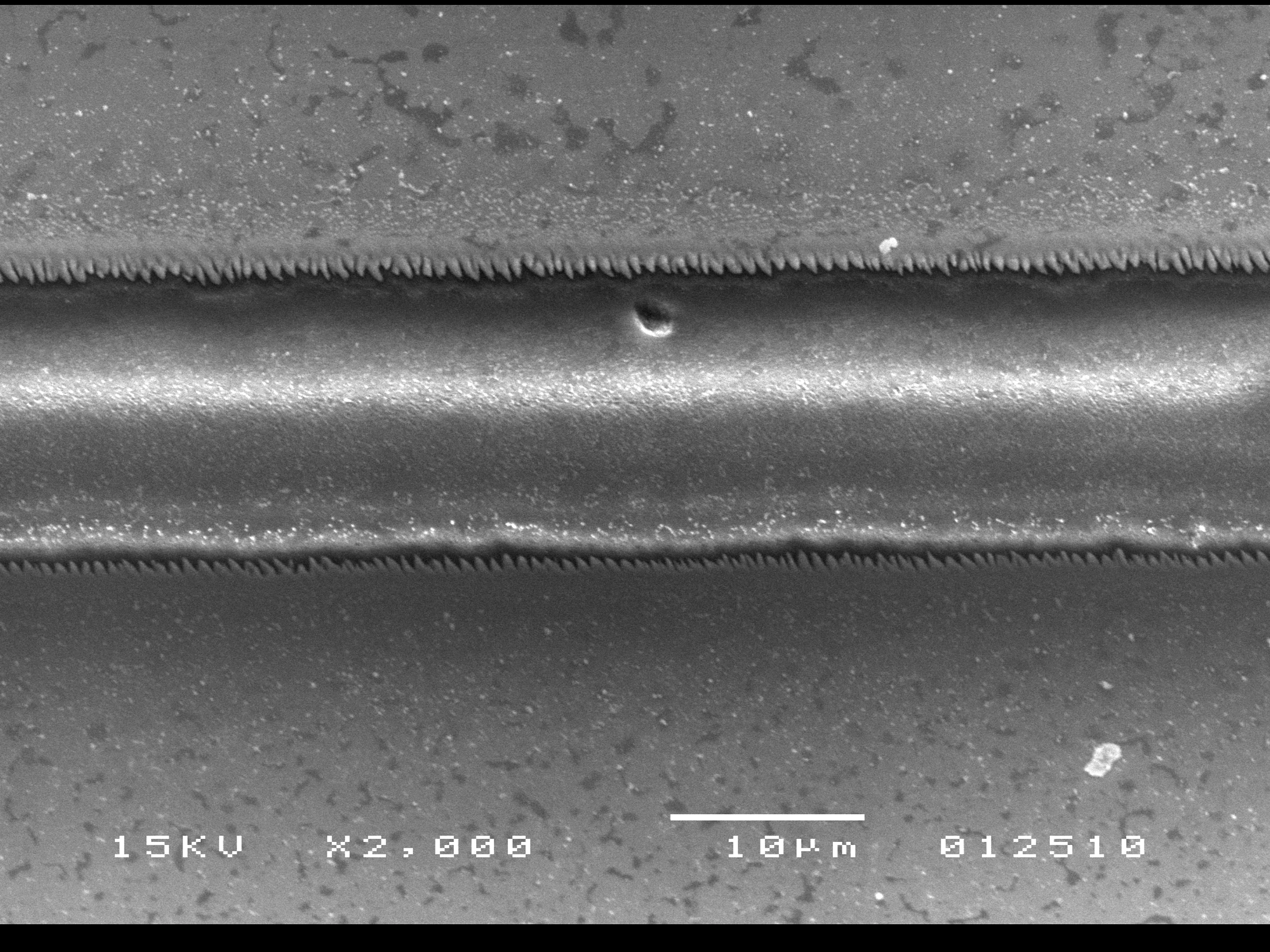 A microchannel created using the laser scribing technique (Photo: Purdue University School of Mechanical Engineering image/Yung Shin)