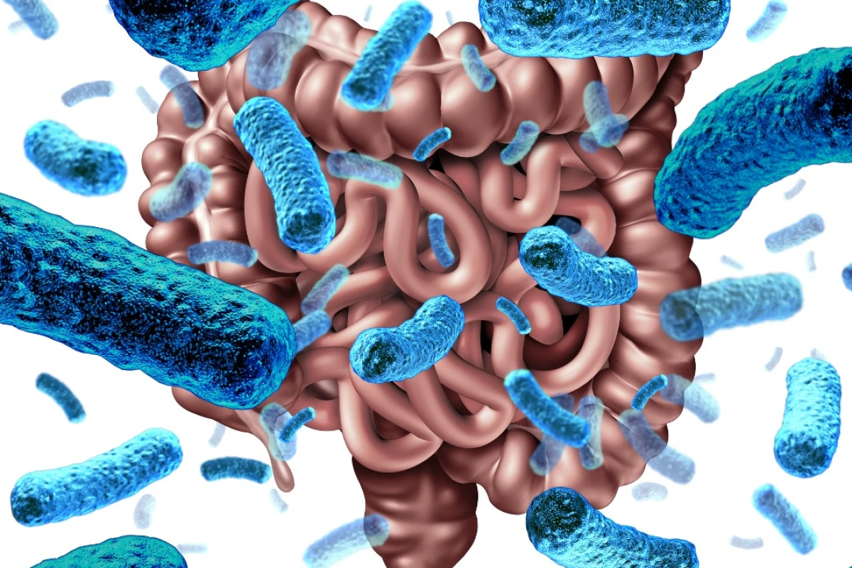 An examination of 21 different studies revealed non-probiotic dietary changes may be more effective than probiotics in altering a person's gut microbiome, leading to mental health improvements