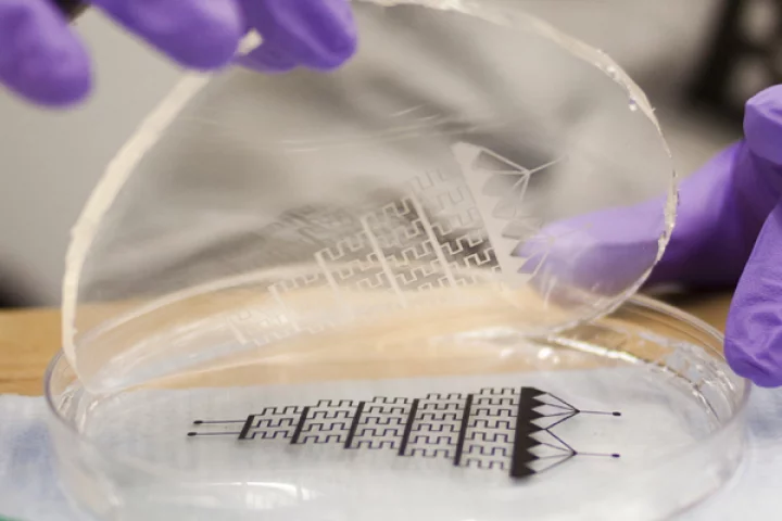 A high school physics teacher has invented a method of producing microfluidic devices, using little else than a photocopier and transparency film